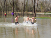 Unos jóvenes aprovechan los primeros rayos de sol despues del temporal para bañarse en el inundado parc de la Draga de Banyoles